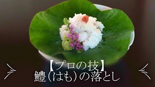 【プロの技】鱧の落とし～京都 瓢斗 料理長の本格和食レシピ～