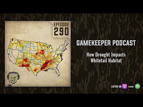 EP:290 | How Drought Impacts Whitetail Habitat