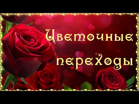 🌹🌷🌹 Красота цветочного мира 🌹🌷🌹 Переходы цветочные 🌹🌷🌹