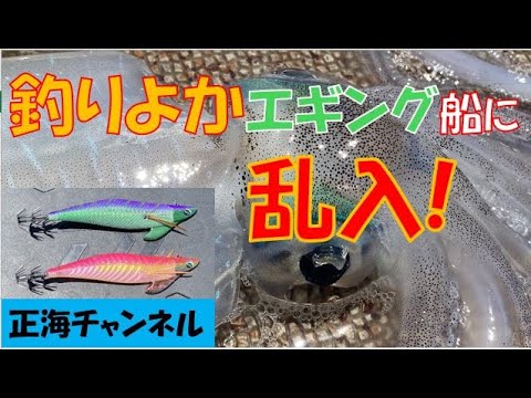 釣りよかのエギング船に乱入