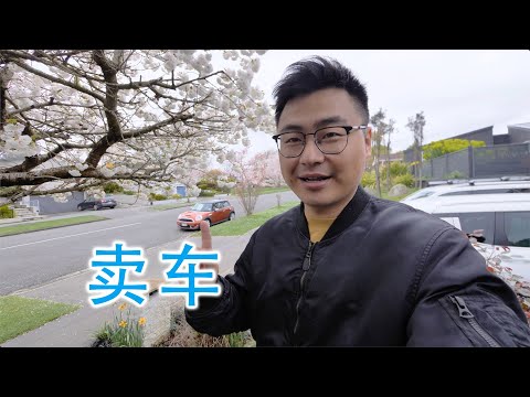 是时候和mini说再见了（新西兰 Harold Vlog 873）