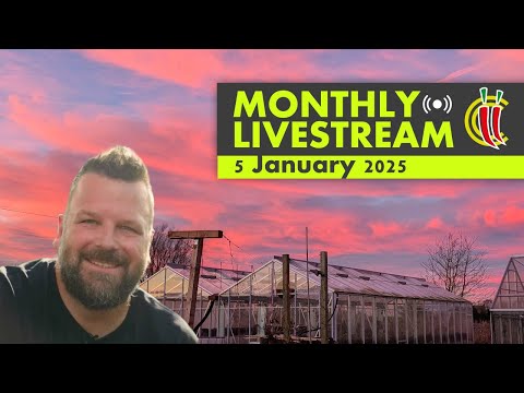 ChilliChump Monthly Livestream - January 2025