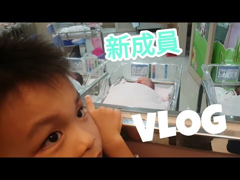 新成員 VLOG 真的不是我的哈哈！【Boss東】