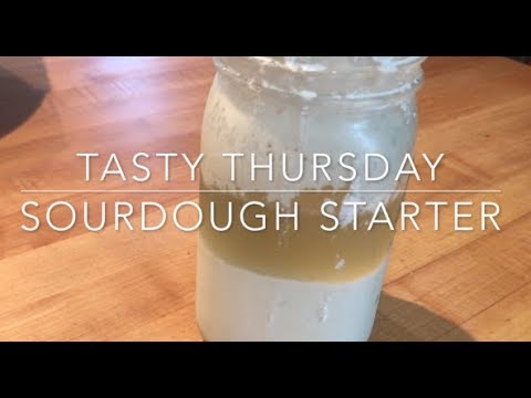 The Care and Feeding of Sourdough Starter - a Tasty Thursday video