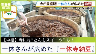 一休さんゆかりの寺で『一休寺納豆』の仕込みが最盛期！寺のカフェでは納豆を使った冷やし善哉に...とんちの効いたスイーツも！？【現場から生中継】（2023年8月1日）