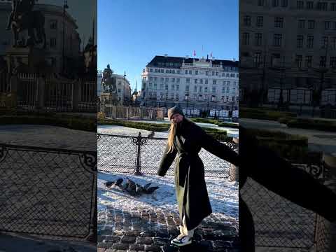 Rosé getting attacked from pigeons in Denmark 😂 #shorts