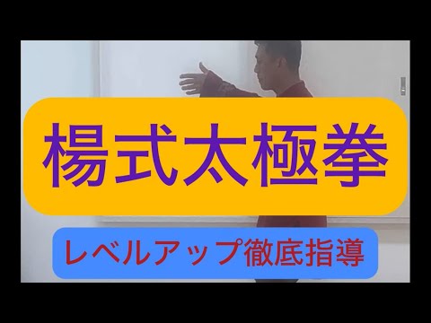 楊式太極拳をレベルアップ強化指導#張紹偉