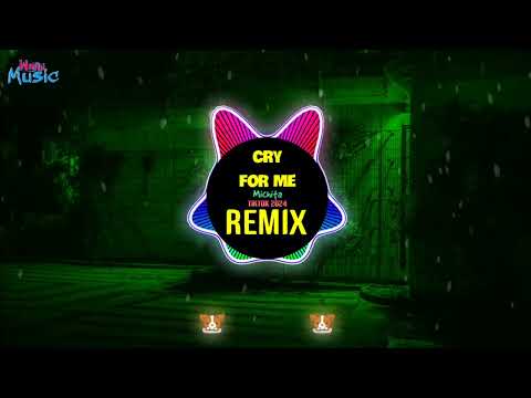 Cry For Me (DJ阿智Remix Tiktok 2025) - Michita x Ami 愛海 || Hot Tiktok Douyin DJ抖音版