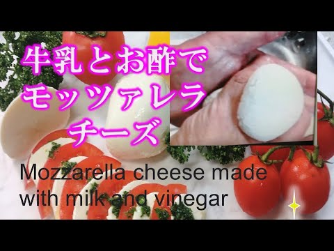 【ジューシー！モッツァレラチーズの作り方】ノンホモ牛乳とお酢だけで作るシェフが教える簡単自家製チーズ　Mozzarella cheese made with milk and vinegar