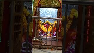 मां चंडी देवी #ma chandi hatta#newvideo#shortvideo#devi#hatta#Upkashi#Darshan#🙏🏵️🌸🌺