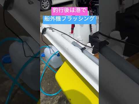 船外機フラッシングを釣り場でやってみた！！