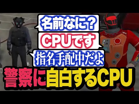 指名手配中に警察に自己紹介してしまうCPU【ストグラ/ALLIN】