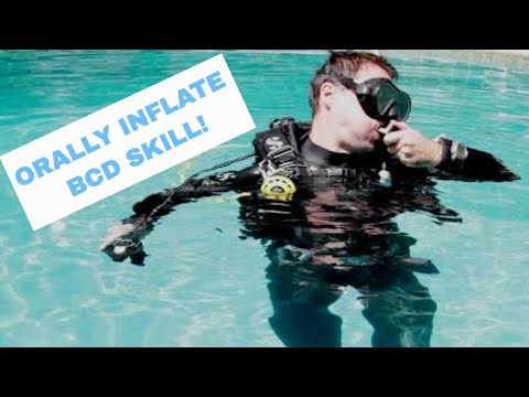 Orally Inflate BCD at the Surface - PADI Open Water Diver Course  Scuba Diving Tips