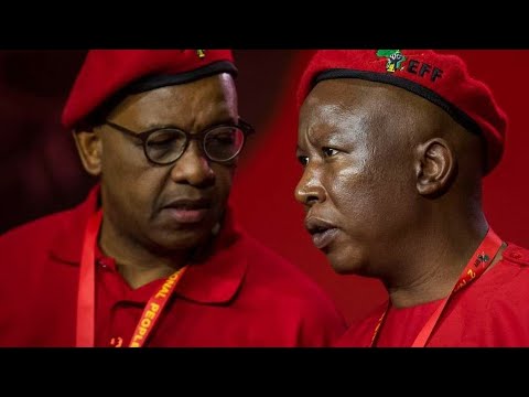 CIC Julius Malema responds on Adv Dali Mpofu leaving the EFF for the MK Party