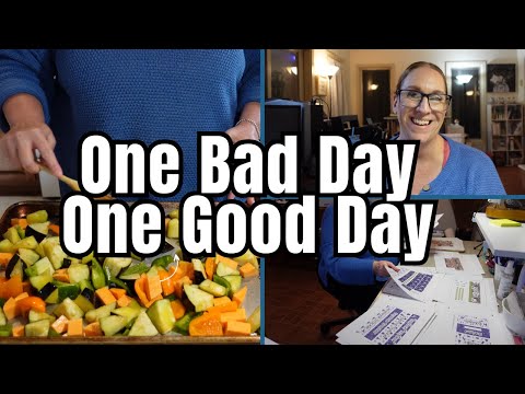 One Bad Day One Good Day / Weekly Vlog / Meal Prep / Working In the Etsy Shop / Grocery Haul