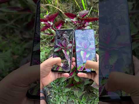 Realme Narzo N65 vs Motorola G45 5G Camera Comparison.