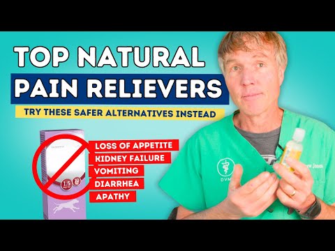 Ditch NSAIDs! Top 7 Natural Anti-inflammatories and Painkillers for Pets