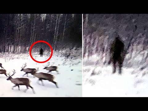 Ranch Owner Receives A Message From His Trail Camera Telling Him Something Scared Off The Reindeer