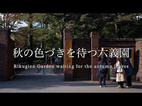 【六義園】色づきを待つ六義園　Rikugien Garden waiting for the autumn leaves