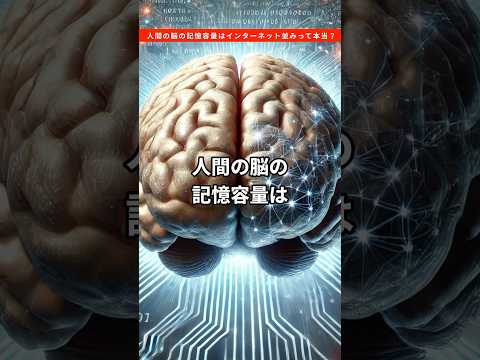 人間の脳の記憶容量はインターネット並みって本当？ #雑学