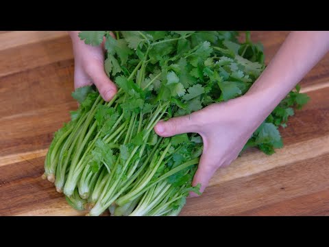 How to Preserve Cilantro (Stays Good for 5 Months)