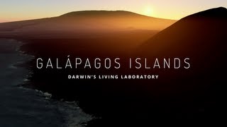 Explore the Galapagos Islands with Google Maps