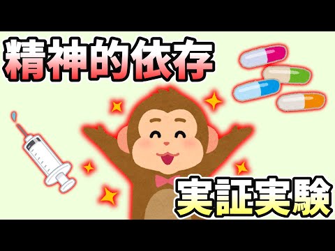 精神的依存が実際に存在することを証明する実験の話【ゆっくり解説】