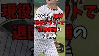 阪神タイガースの現役ドラフト候補3人 #プロ野球 #阪神タイガース