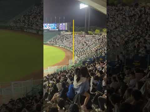 ９/4 ほっともっとフィールド神戸　チャンスタオル　オリックスバファローズ　#オリックスバファローズ#チャンスタオル #ほっともっとフィールド神戸