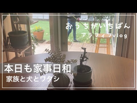 【今日は何して過ごそう】プチＤI Y /フラッとラーメン屋/家庭料理