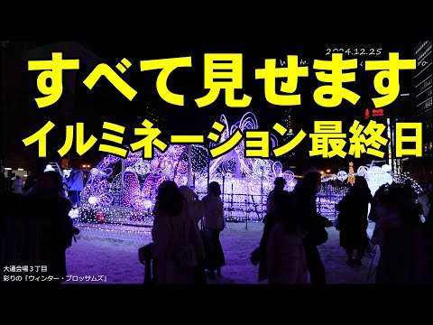 すべて見せます❢イルミネーション最終日はクリスマス❢【札幌観光】