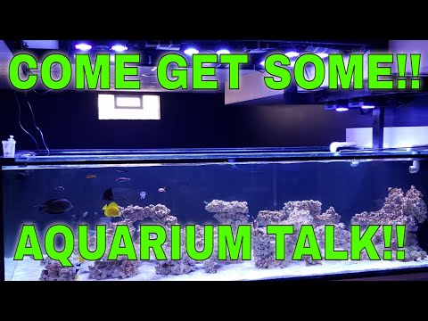 COME GET SOME!! AQUARIUM TALK!!