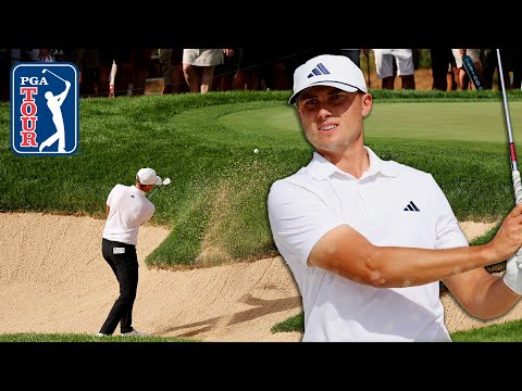 INCREDIBLE greenside bunker shots on the 2024 PGA TOUR