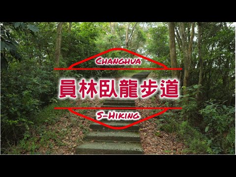 S步道｜彰化｜臥龍坡步道｜漫步桐花森林｜員林市