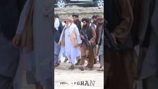 Prime Minister Of Taliban Attitude status #shorts