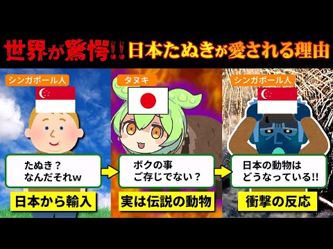 77億が驚愕‼日本たぬきが激レア生物と言われている理由とは…【ずんだもん＆ゆっくり解説】