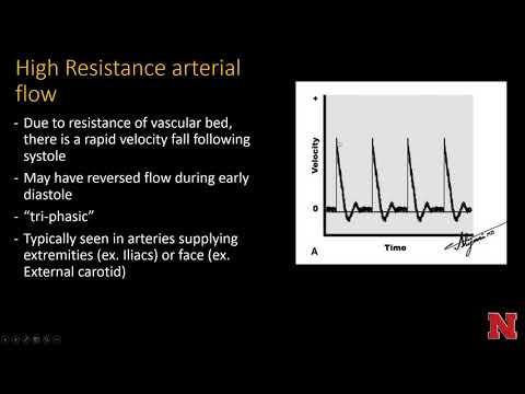 UltrasoundDopplerPhysics