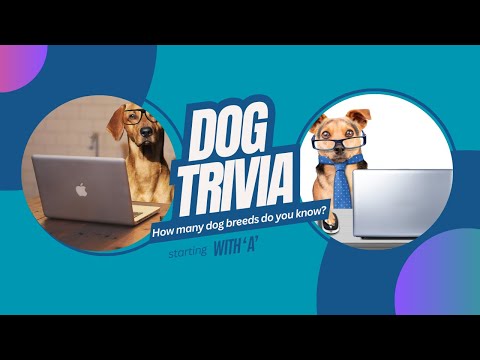 Play AKC Dog Trivia #dogfacts #trivia #dogs