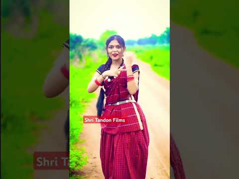 Bhule Aabe Re Bhavra #shritandonfilms  #cgviral #folkmusic #cgshorts #cgtrending #cgsong #cgstatus