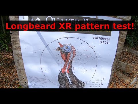 Winchester Longbeard XR Franchi Affinity Pattern Test!