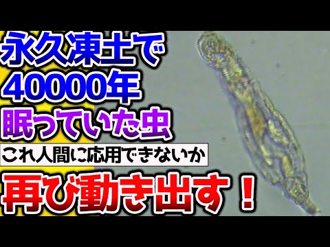 【2ch動物スレ】【悲報】永久凍土で4万年凍ってた虫さん、再び動き出し増殖中！ #昆虫 #生き物