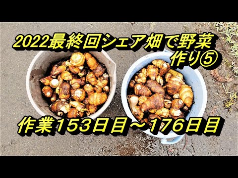 2022最終回シェア畑で野菜作り⑤作業１５３日目～１７６日目