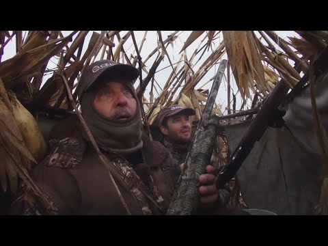 CZ-USA's American Birdhunter Episode 239 -- Missouri Mixed Bag (2014)