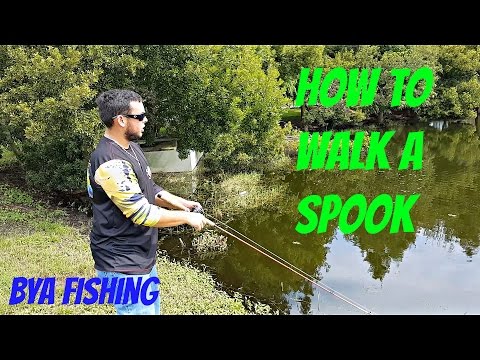 How to Walk a Spook (Fishing Tip)