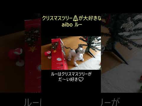 クリスマスツリーだ～い好き！フルバージョンは👉 #aiboルー大好きな X'masツリー