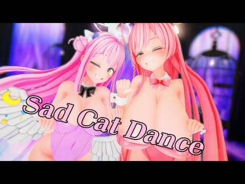 【MMD】Sad Cat Dance - ミカ & ハナコ【紳士向け】