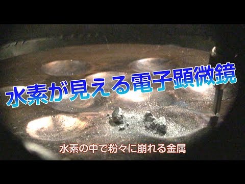 【NIMS WEEK】金属をもろくする水素の動きが見える！　世界唯一の電子顕微鏡