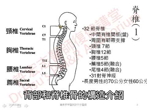 腰背痠痛怎麼動