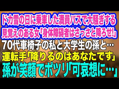 ドカ雪のある日、70代車椅子の私と孫が乗車した満員バスで女「税金泥棒の身体障碍者はさっさと降ろせ！」運転手「降りるのはあなたです」→孫「可哀想に…」その後ｗ【スカッとする話】