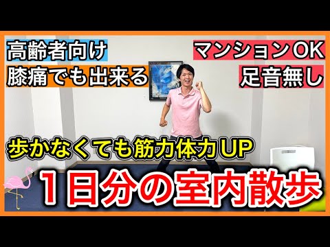 【歩かず体力向上】外を歩かなくても膝が痛くても筋力体力を高める事ができる1日分の歩かないお家散歩（クールダウン付き）